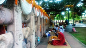 India, Bodhgaya. Meditazioni sotto l'albero di Pipal o albero del Bodhi.