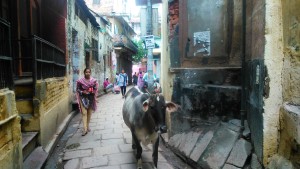 India, Varanasi. Per le stadine della old town.