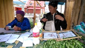 Mongolia, Kathgal. Bancarella di erbe medicinali al mercato.