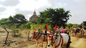 Myanmar, Bagan, incontri sul percorso delle pagode.