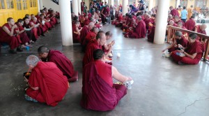 Dharamsala, ore 11.00 di domenica 24 maggio 2015. Pranzo al Namgyal Gompa del Tsuglagkhang Complex.