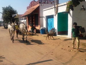 Karnataka, Kamalapura. Interni della città.