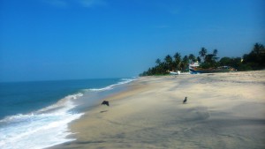 Kerala meridionale, Alappuzha beach.