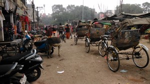 Varanasi, 8 dicembre 2016. Bengali Tola infreddolita.